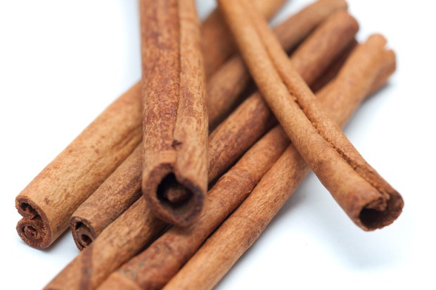 Cinnamon sticks