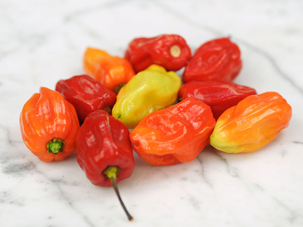 Grenadian seasoning - hot pepper